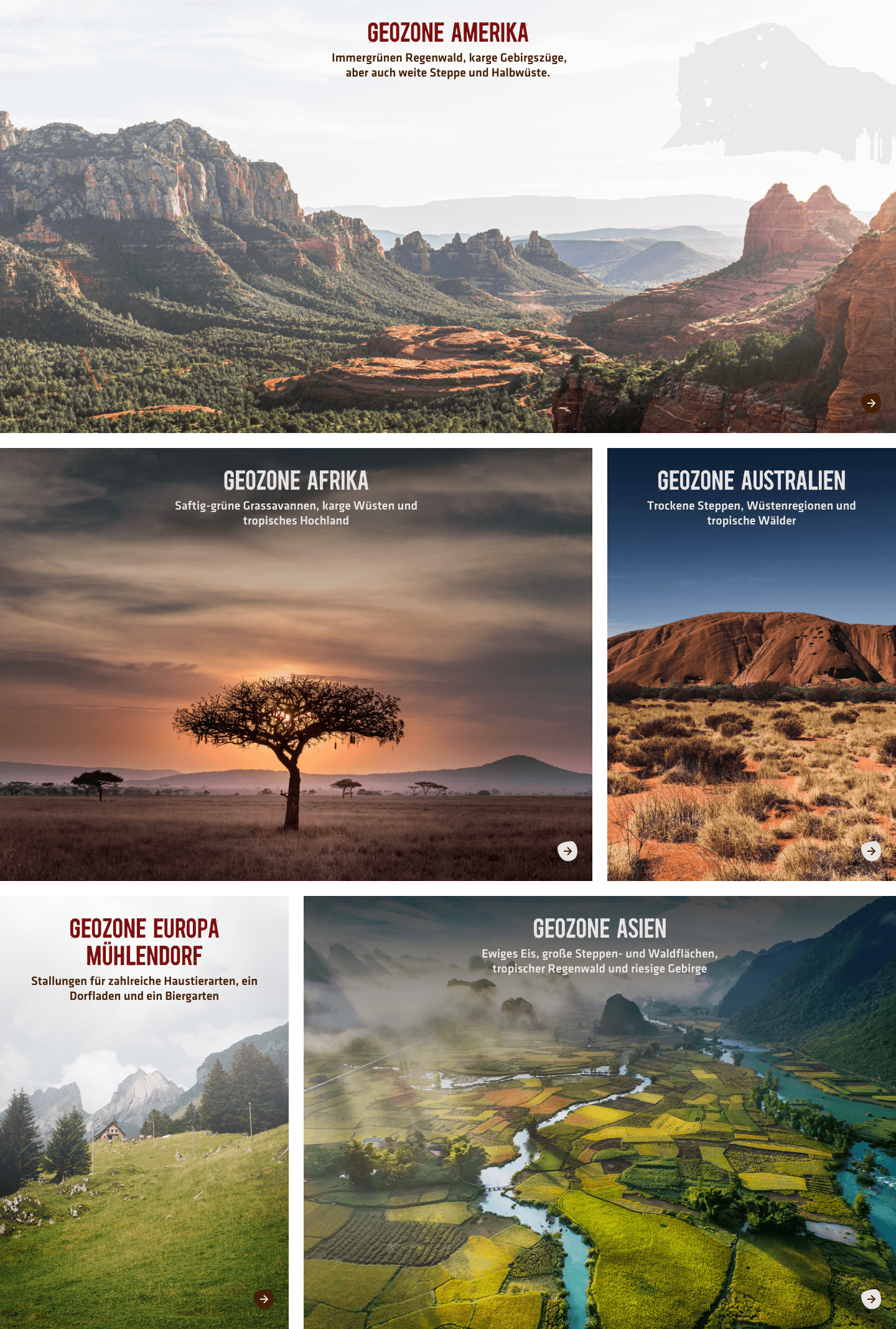 Bild-Teaser mit flächigen Hintergrundbildern