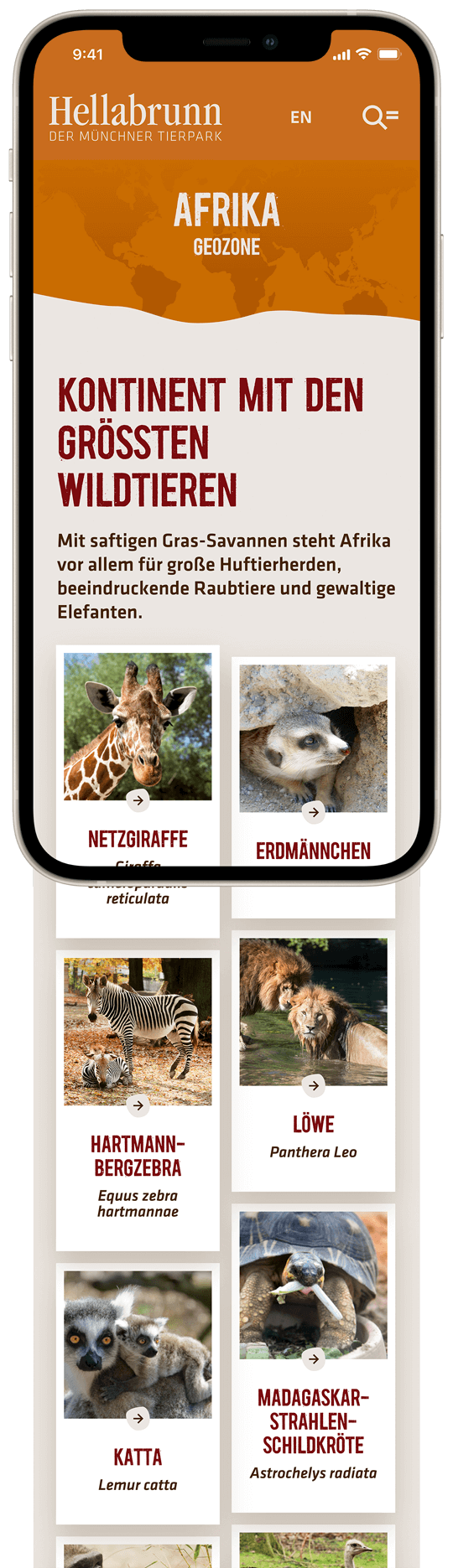 Übersichtsseite Geozone Afrika auf einem iPhone