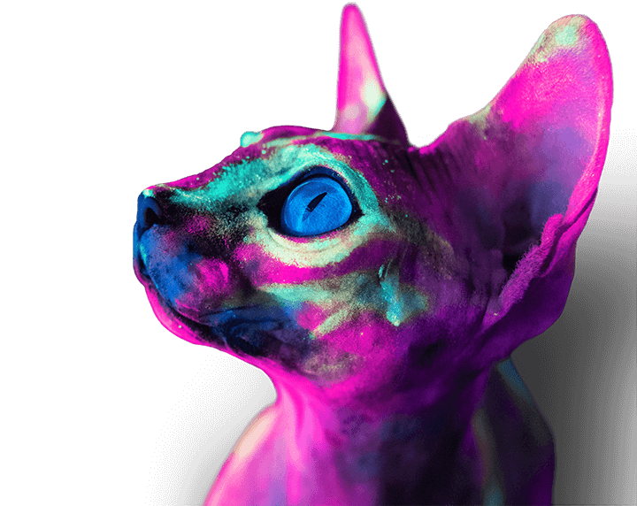 Bunt angemalte Nacktkatze