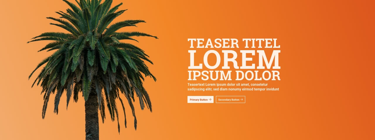 Hero-Teaser mit Freisteller und farbigem Hintergund